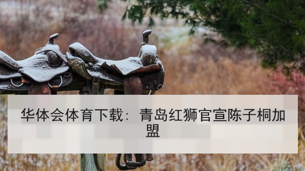 华体会体育下载: 青岛红狮官宣陈子桐加盟 华体会体育下载: 青岛红狮官宣陈子桐加盟