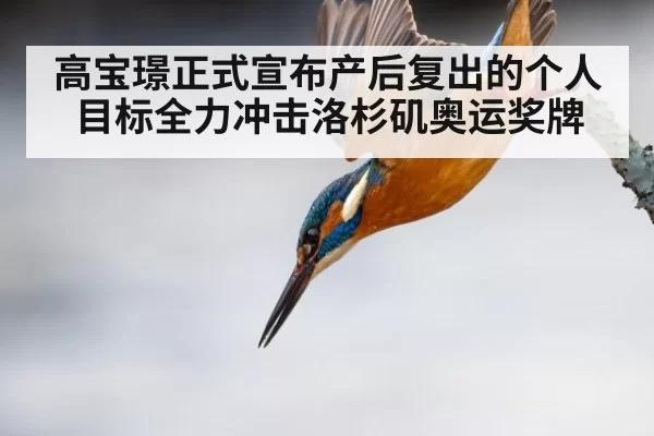 高宝璟正式宣布产后复出的个人目标全力冲击洛杉矶奥运奖牌